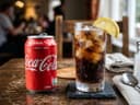 Coca-Cola (Canette)